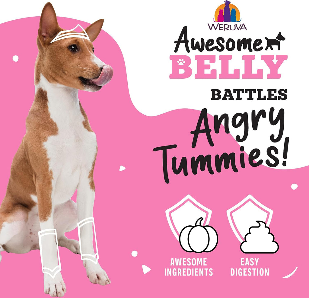 Awesome Belly Wet Dog Food, Chicken, White Rice & Pumpkin with Papaya, 6oz Can (Pack of 8)