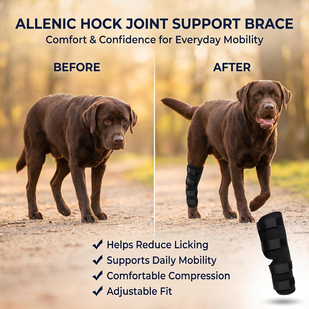 Dog Knee Brace for Hind Leg, Dog Hock Brace for Back Leg Support, Adjustable ACL CCL Brace for Dogs, Rear Leg Support