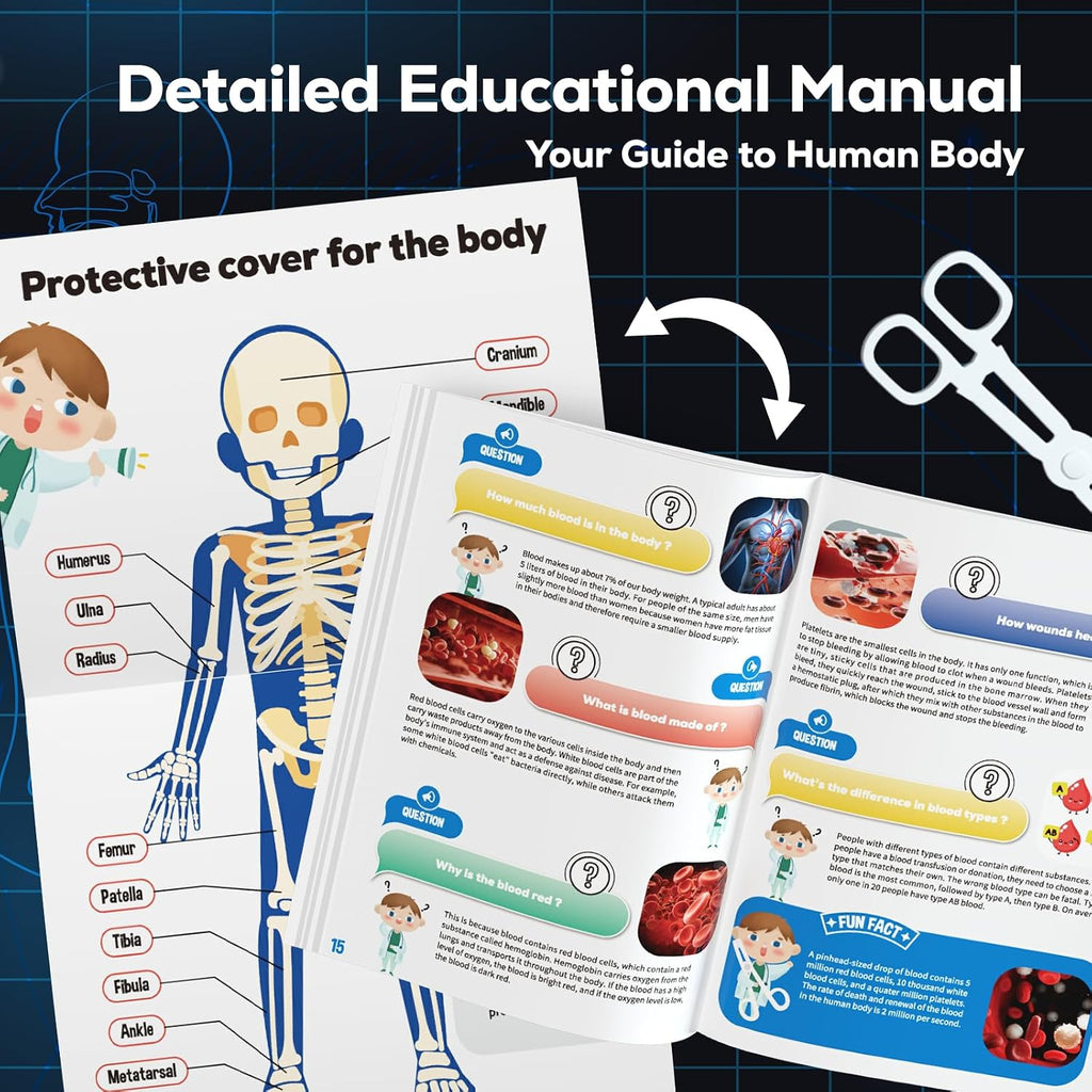 Human Body Skeleton Model Kit, Glow in The Dark Science Kit for Kid | 40 Piece Anatomy Figure, STEM Educational Toys