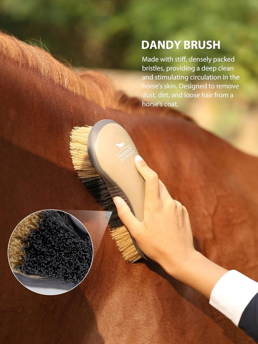 Horse Grooming Brushes Kit 7 pieces with Organizer Tote
