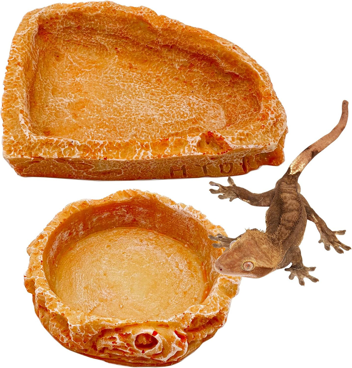 Reptile Water Dish Food Bowl Bearded Dragon Bowls, 2 Pack Reptile Food Bowl for Hermit Crab Bearded Dragon Lizard
