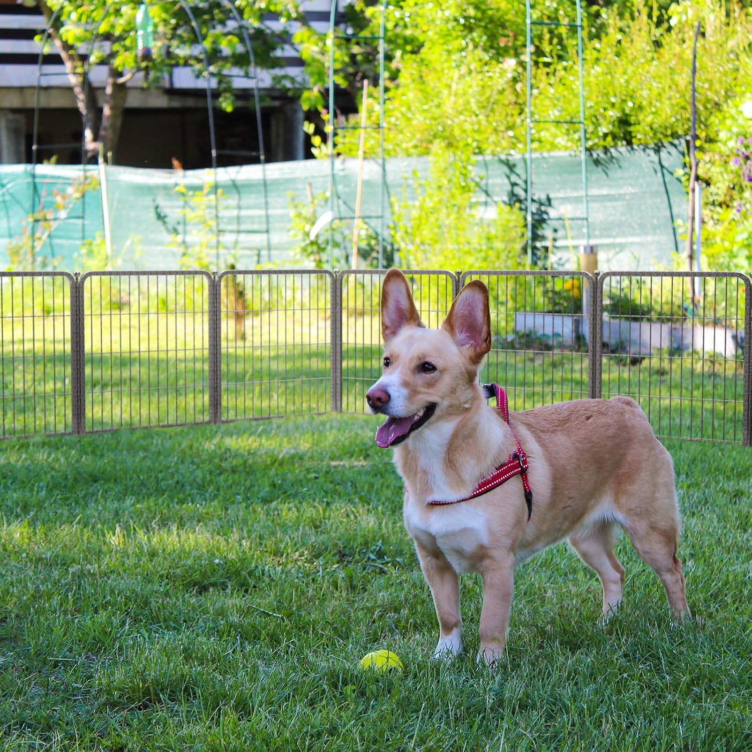 Aster Dog Playpen Designed for Yard, 24inch 16 Panels