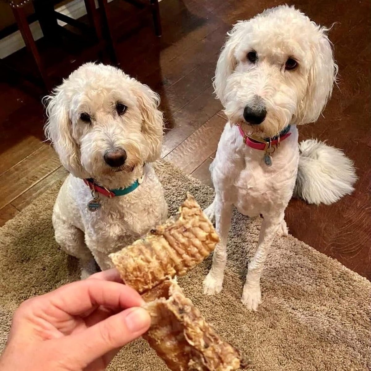 Beef Trachea Dog Chews, 3 Inch, 16 oz