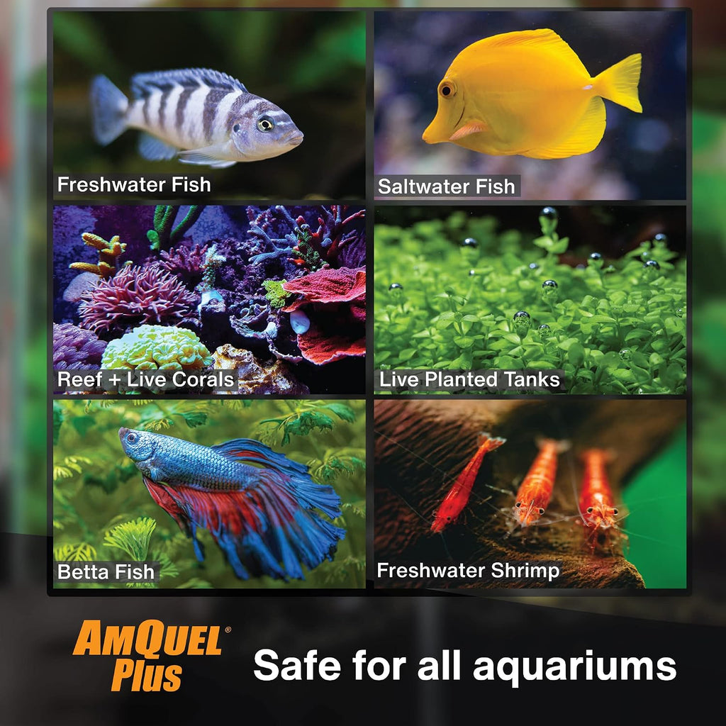 AmQuel Plus Aquarium Water Conditioner - Instantly Detoxifies Ammonia, Nitrite, Nitrate, and Chlorine Remover for