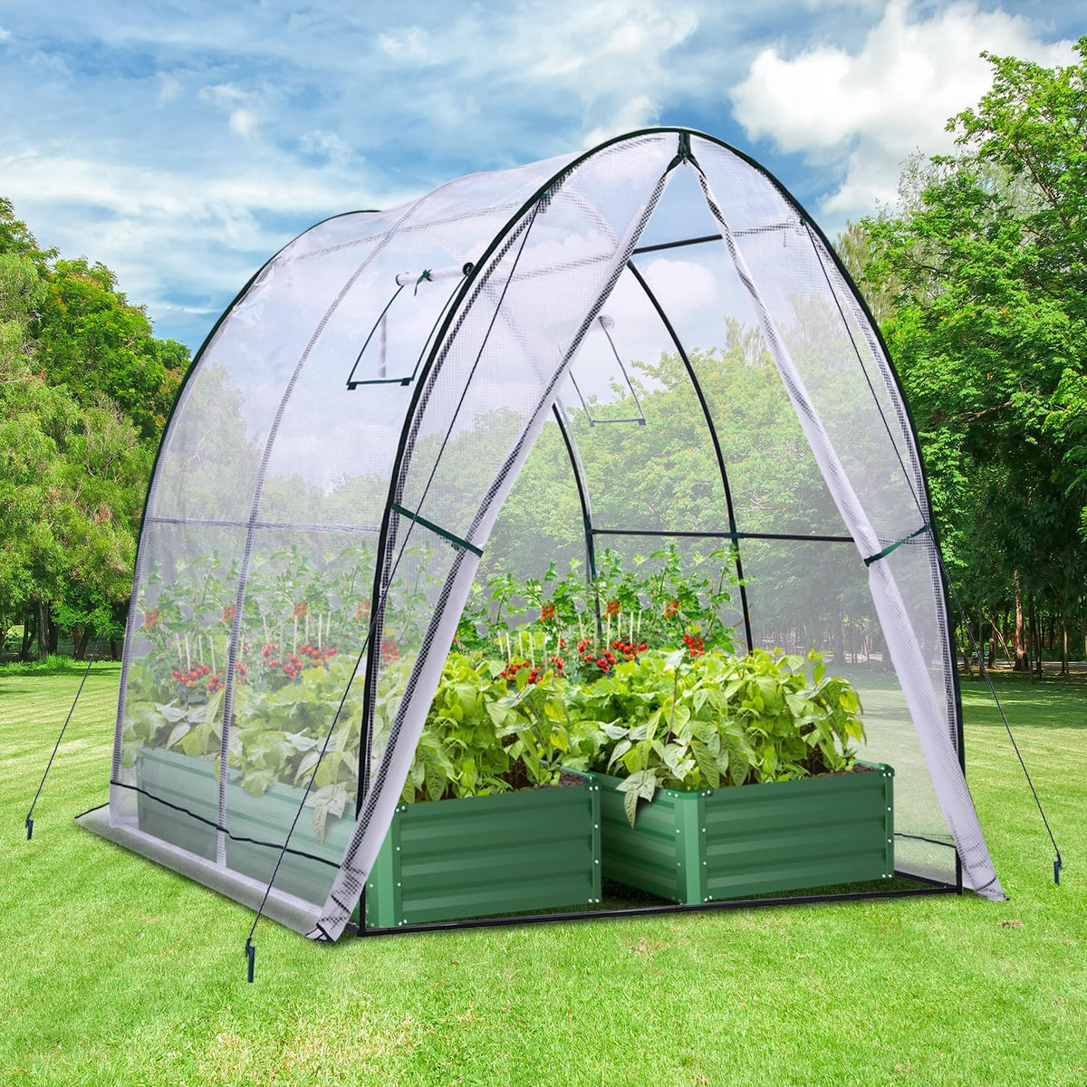 Portable Tunnel Greenhouse Outdoor: Heavy Duty Walk in Green House with Mesh Windows Durable Plastic PE Cover for