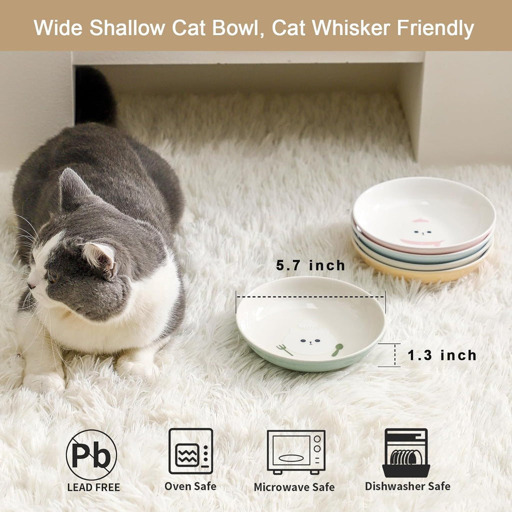 Ceramic Cat Bowls Set - 5.7 inch Wide Cat Food Bowls Whisker Fatigue Friendly, 5 Colorful Kitten Dish Plates with