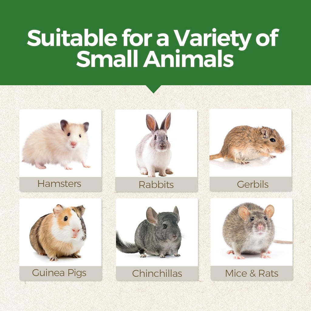 Guinea Pig Chew Toys, Prevent Teeth Overgrowth, Natural Timothy Grass & Vegetables, Hamster Chew Toys, Guinea Pig