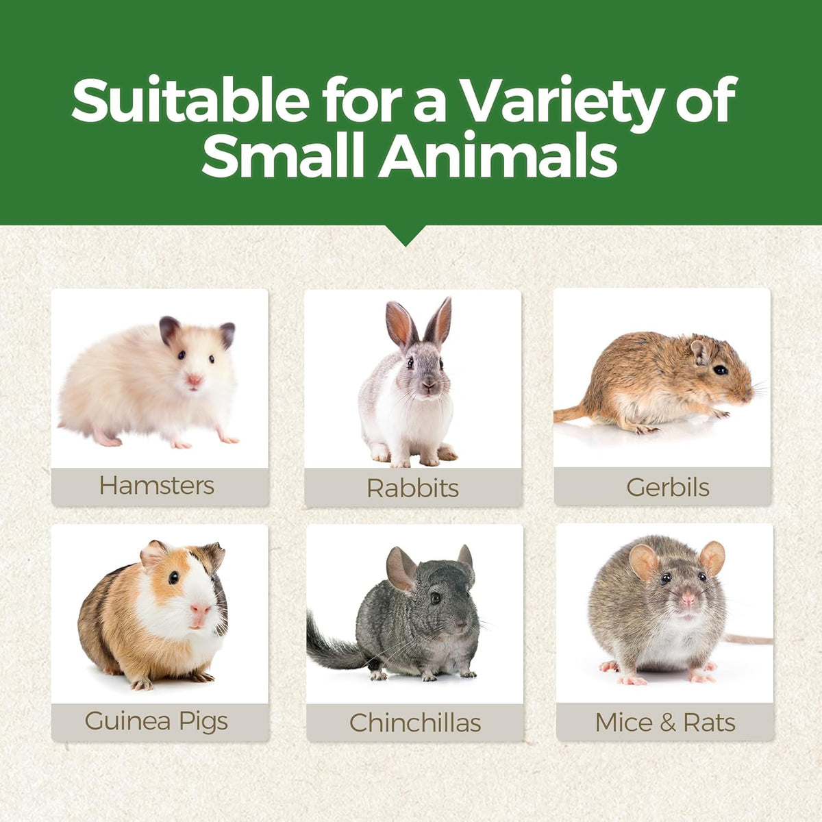 Guinea Pig Chew Toys, Prevent Teeth Overgrowth, Natural Timothy Grass & Vegetables, Hamster Chew Toys, Guinea Pig