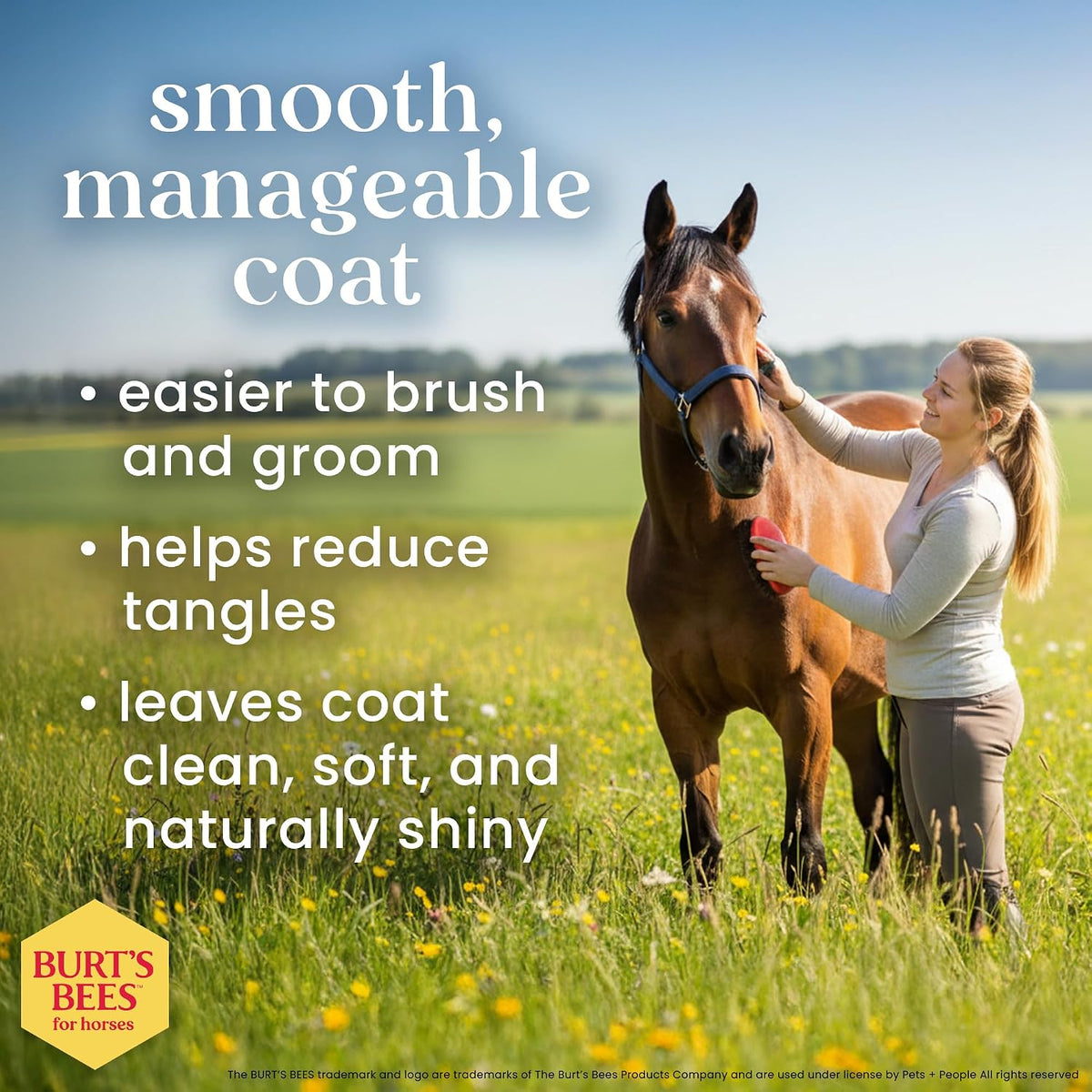 Burt's Bees for Horses Detangling Shampoo, with Coconut Oil, 32 Oz
