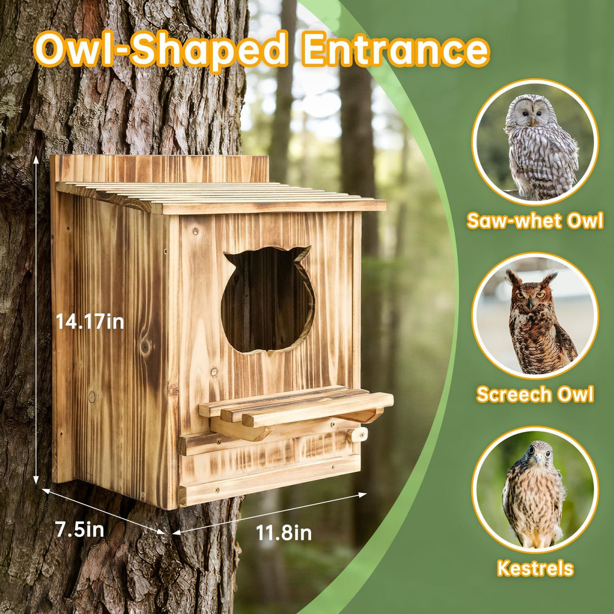 Owl Nesting Box for Outside 14.2"x12"x8.3" Wooden Screech Owl House