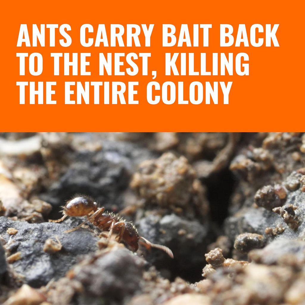 T1804-6 Outdoor Ready-to-Use Liquid Ant Bait Killer and Trap - Kills Common Household Ants - 4 Bait Stations |