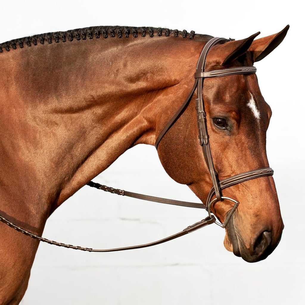 Saga Adjustable Padded Fancy Stitched Hunter Bridle with Reins