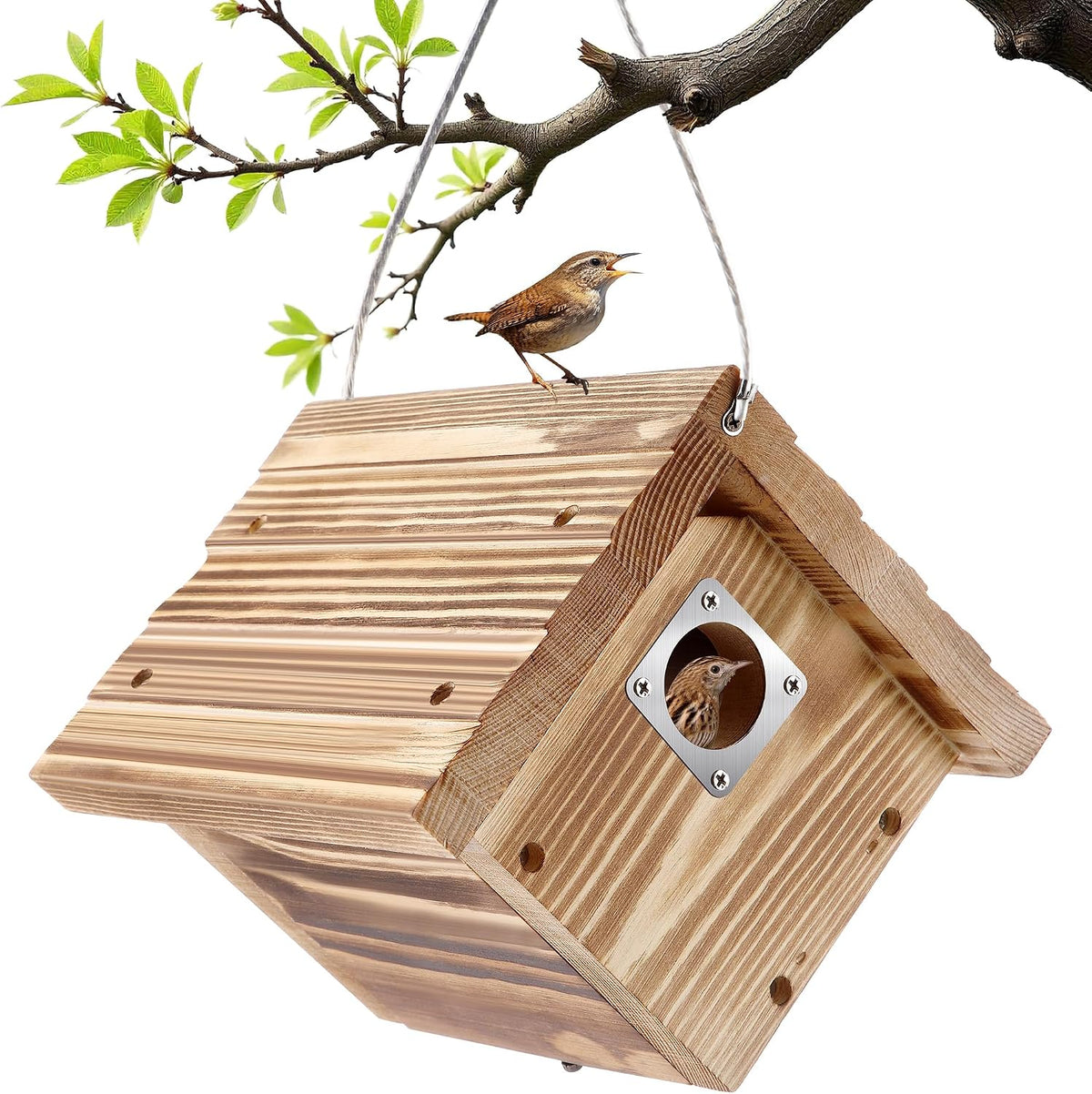 1 Pack Wren House with Metal Guard, 1-1/8'' Entrance Hole Hanging Wren Bird Houses for Outside for Nesting with Air