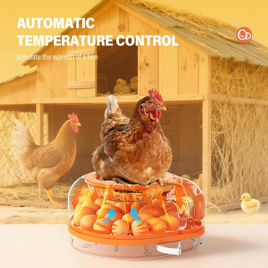 26-Egg Incubator for Hatching Eggs, Auto Turning, Temp & Humidity Control