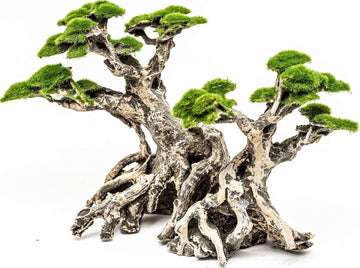 Aquarium Decor & Plants
