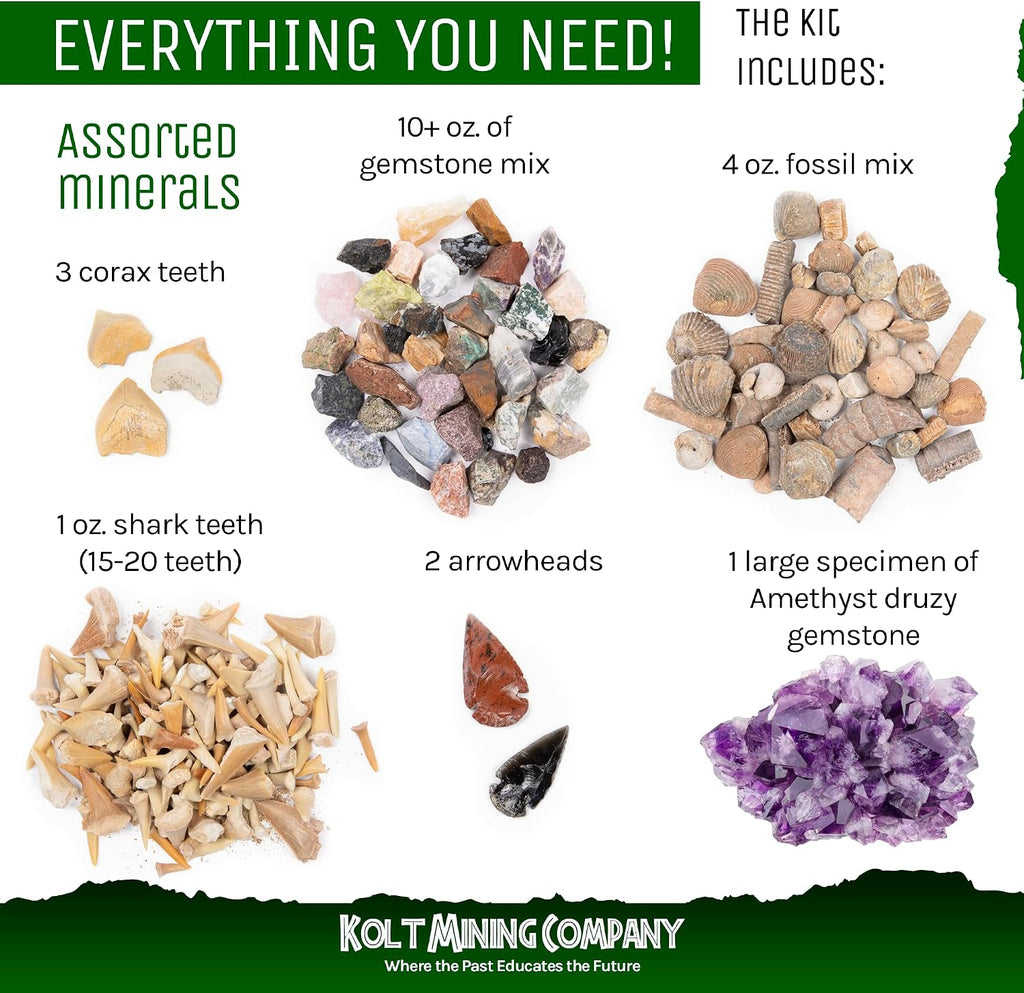 Adult Geology Kit: Rocks, Minerals, Fossils, Crystals & Shark Teeth