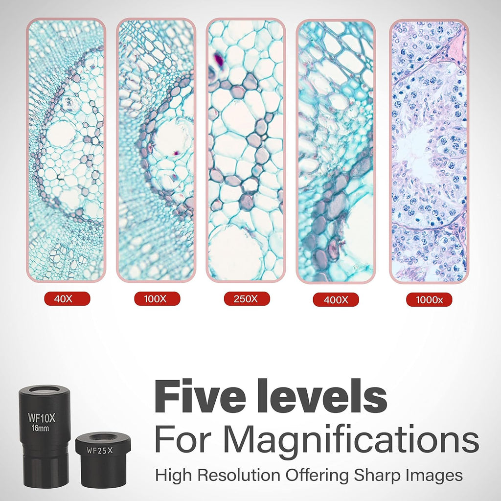 M102C-PB10 1000X Biological Compound Microscope with Prepared | 40X-1000X Magnification Range