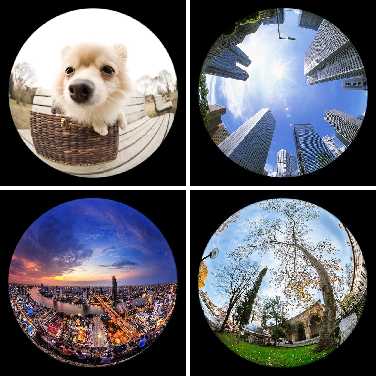 Fisheye Lens, 198° Fish Eye Phone Camera Lens Kit for iPhone | Fish Bowl Camera Lens, Phone Lens Accessories, Lens