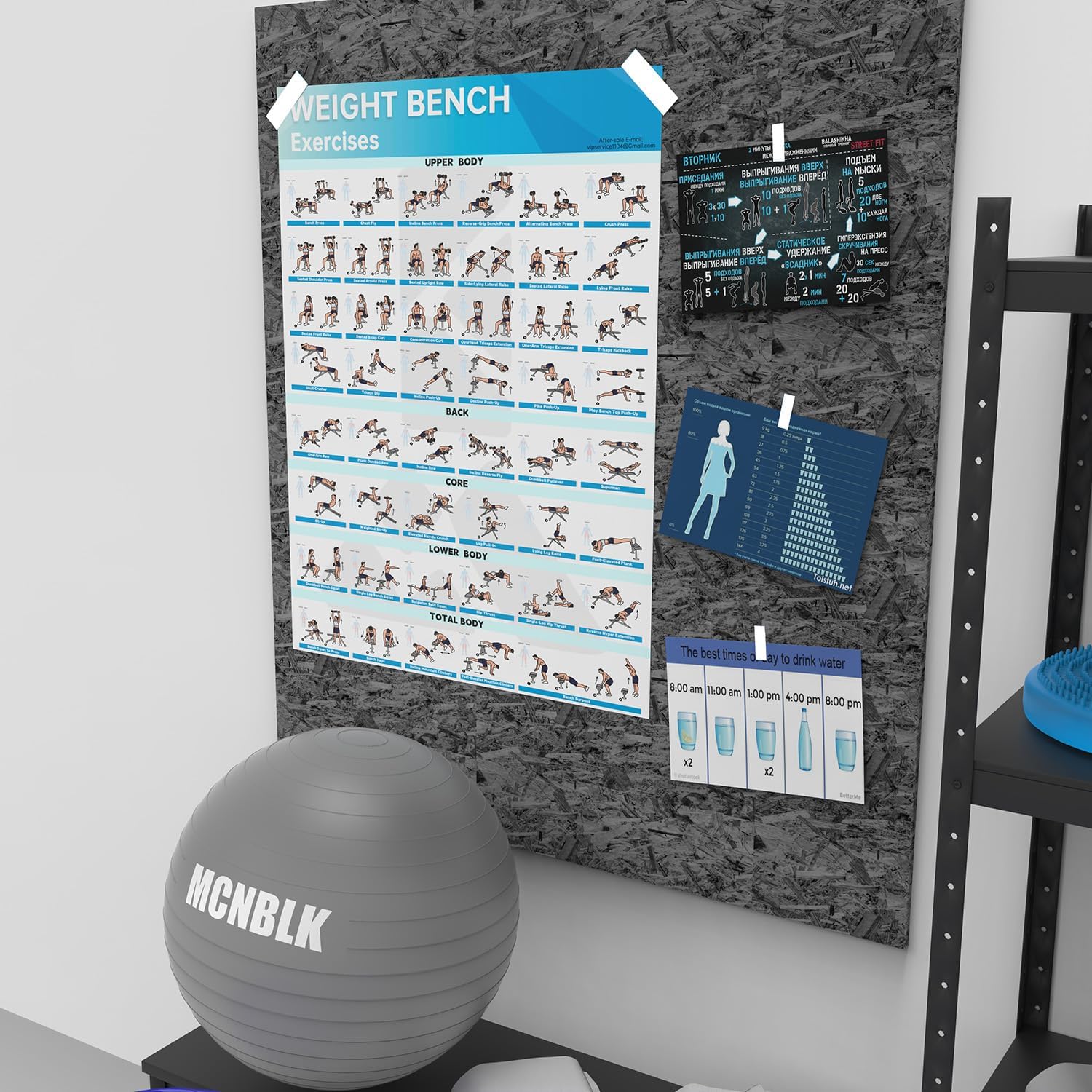 Fitness Bench Poster Adjustable Benches Poster (1PC Paper Tube)