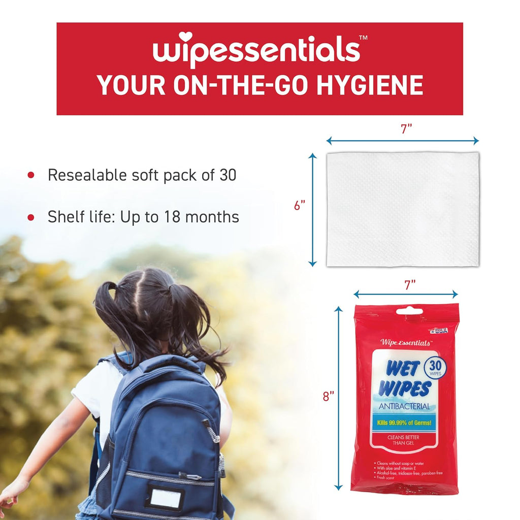 WipeEssentials Hand Sanitizer Wipes for Adults & Kids - 90 Count, 3 Packs | Alcohol-Free, Moisturizing Sanitizing