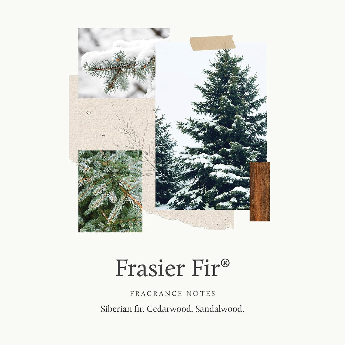 Frasier Fir Laundry Fragrance Oil for Dryer – Scented Laundry Supplies (0.5 fl oz)