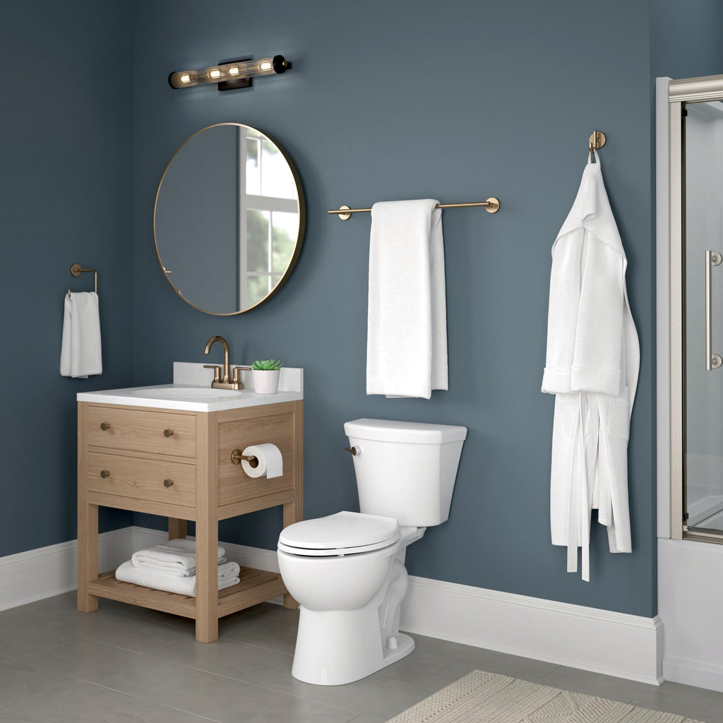 Single Post Toilet Paper Holder | Champagne Bronze | Wall Mount | Trinsic Bathroom Accessories
