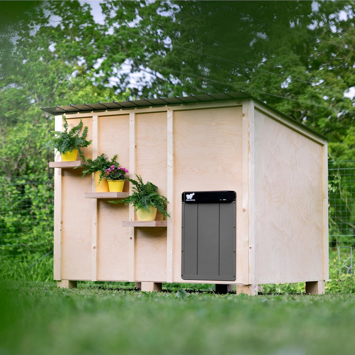 Door Giant – Large Automatic Poultry Coop Door for Ducks & Turkeys, Not for Chickens, Battery Powered/Solar