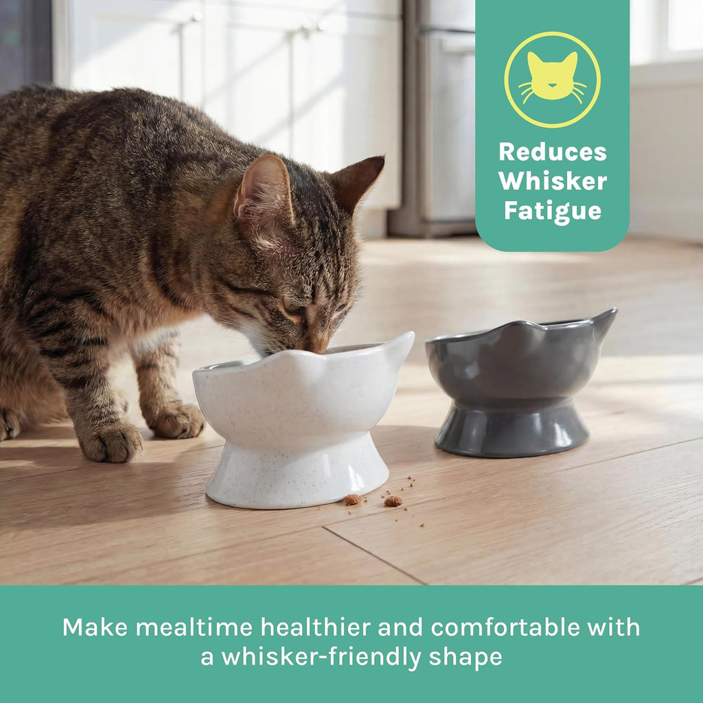 Elevated Cat Bowls (Set of 2), Whisker-Friendly Raised Cat Food & Water Dishes, Modern Pedestal Design, Dishwasher