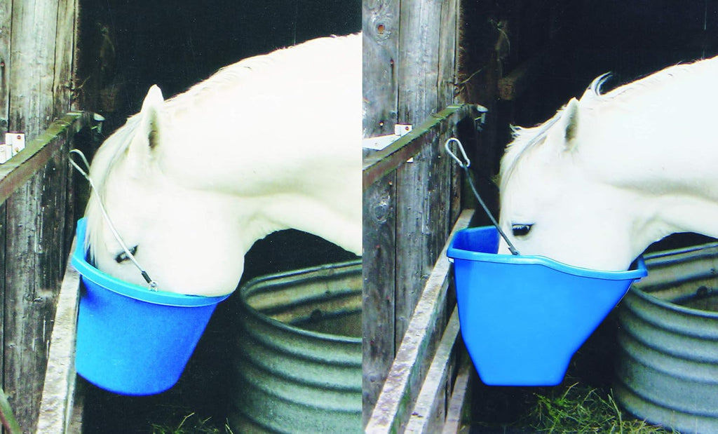 Plastic Better Bucket | Horse Feed Bucket | Ergonomically Designed | Flat Back Bucket | Made in USA | 20 Quarts | Blue