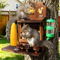 Durable Squirrel Feeder for Outside: Carbonized Pine & Protective Coating