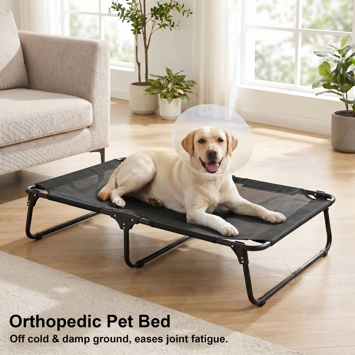 Foldable Outdoor Elevated Dog Cot Bed with Handle
