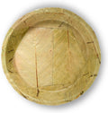 Single Use Sal Leaf Plates (11 inch, 25/pack) | Zero Waste, Biodegradable, Backyard Compostable | For Parties
