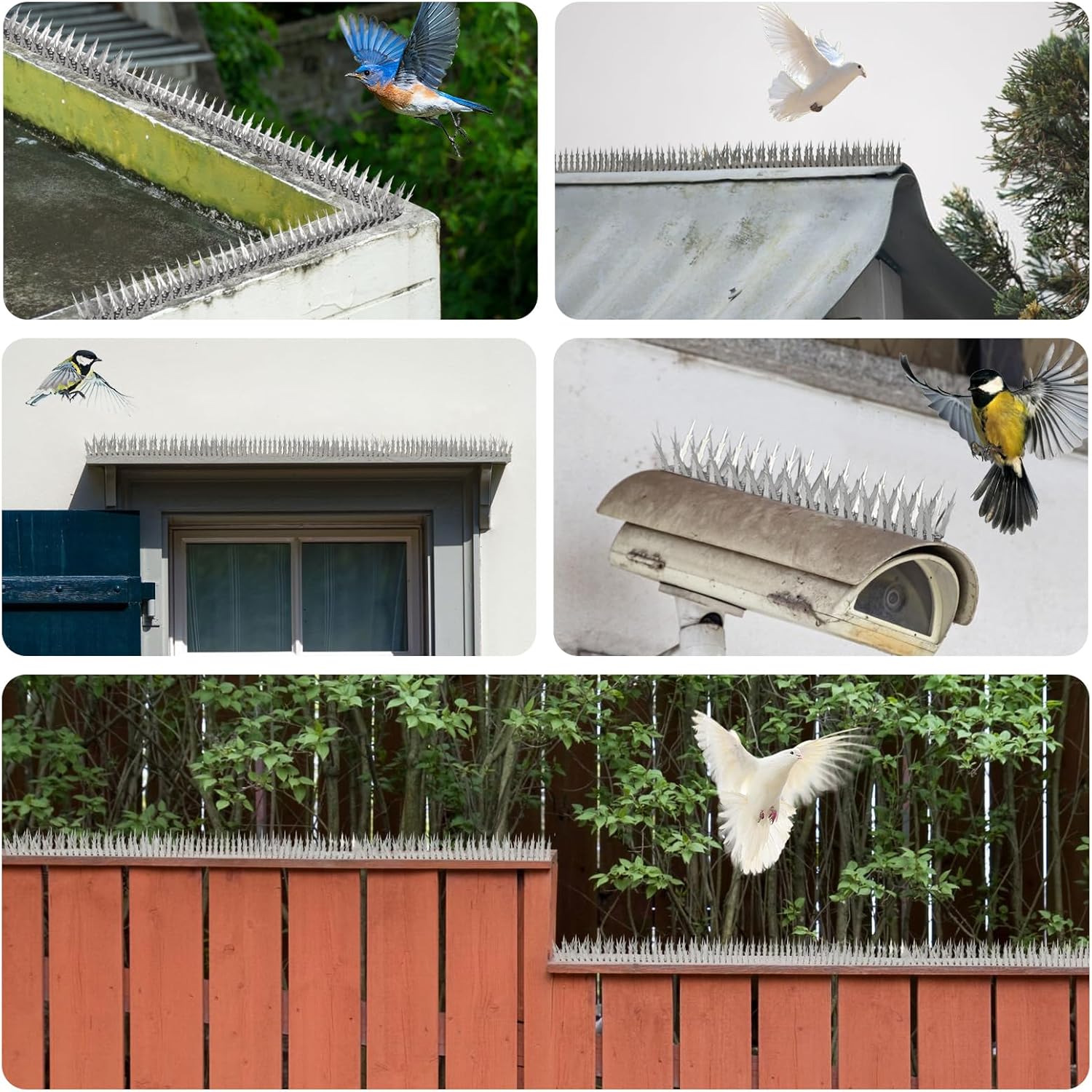 Bird Spikes, 5 Feet Stainless Steel Bird Control Spikes for Outside, Pigeon and Squirrel Blocking Spikes, for Garden