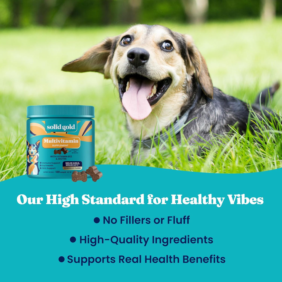 Dog Vitamins, Multivitamin Chews for Immune & Skin, 120ct