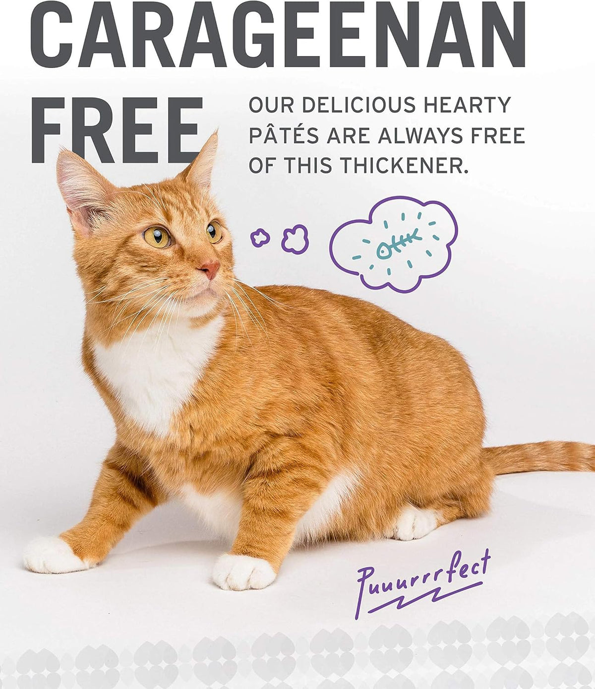 Naked Essentials Wet Cat Food Variety Pack | 12 Pack