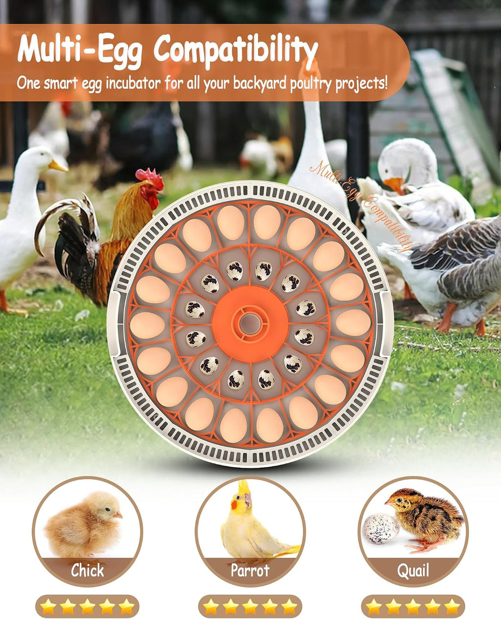 30 Egg Incubator, Incubators for Hatching Eggs with Auto Egg Turner, Automatic Temperature Control, LED Candle Light