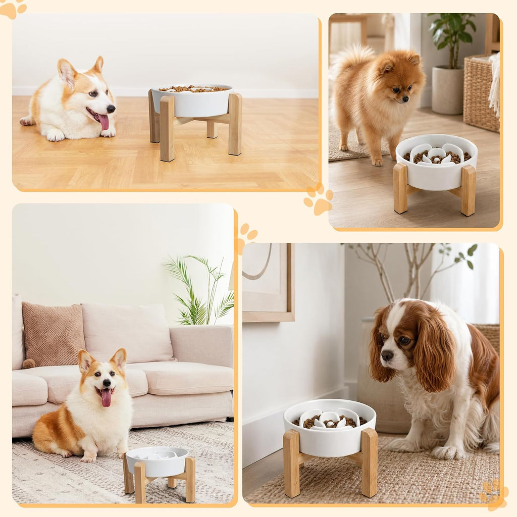 Elevated Slow Feeder Dog Bowl - Ceramic Maze Food Dish with Bamboo Stand - Raised Feeding Bowl for Fast Eaters
