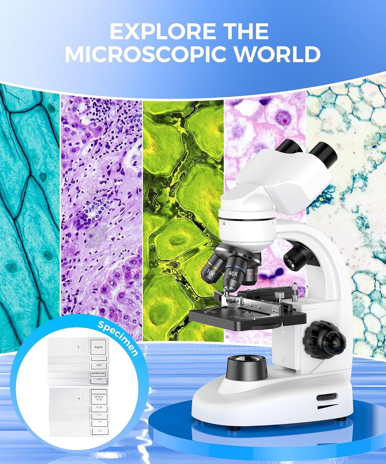 Compound Binocular Microscope for Adults, Professionals&Kids