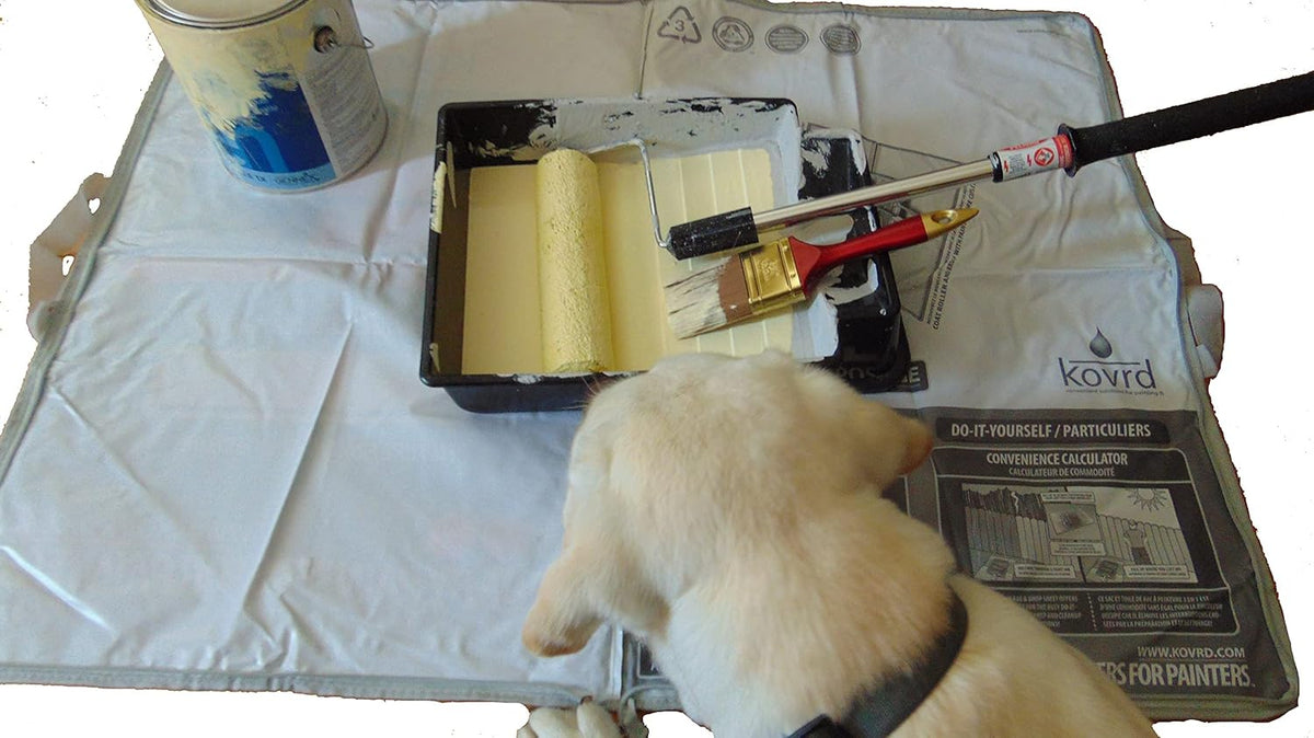 Kovrd 2-in-1 Reusable Paint Tray Storage Bag and 39” x 29” Drop Cloth, Keep Brushes Rollers and Paint Wet for Days