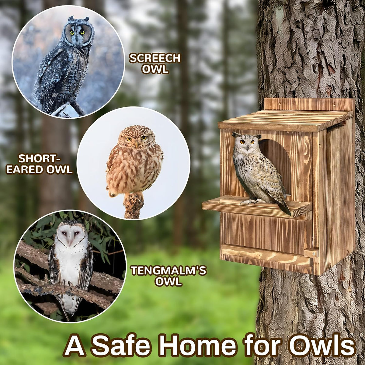 Large Owl House with Wood Shavings, Carbonized Pine Wood Nesting Box