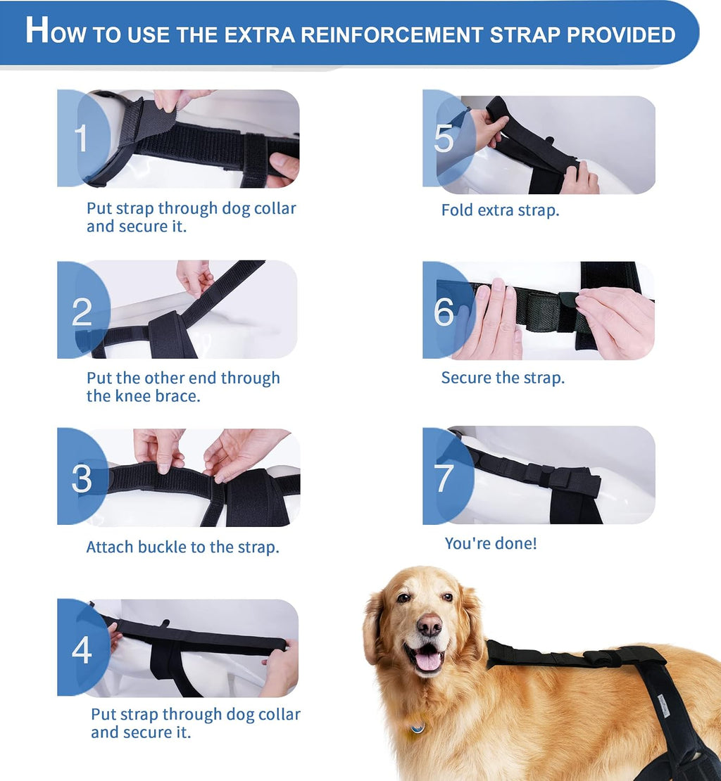 Dog Knee Brace for Torn ACL & Hind Leg Support – Adjustable Dog Hip & Leg Brace for Cruciate Ligament, Arthritis