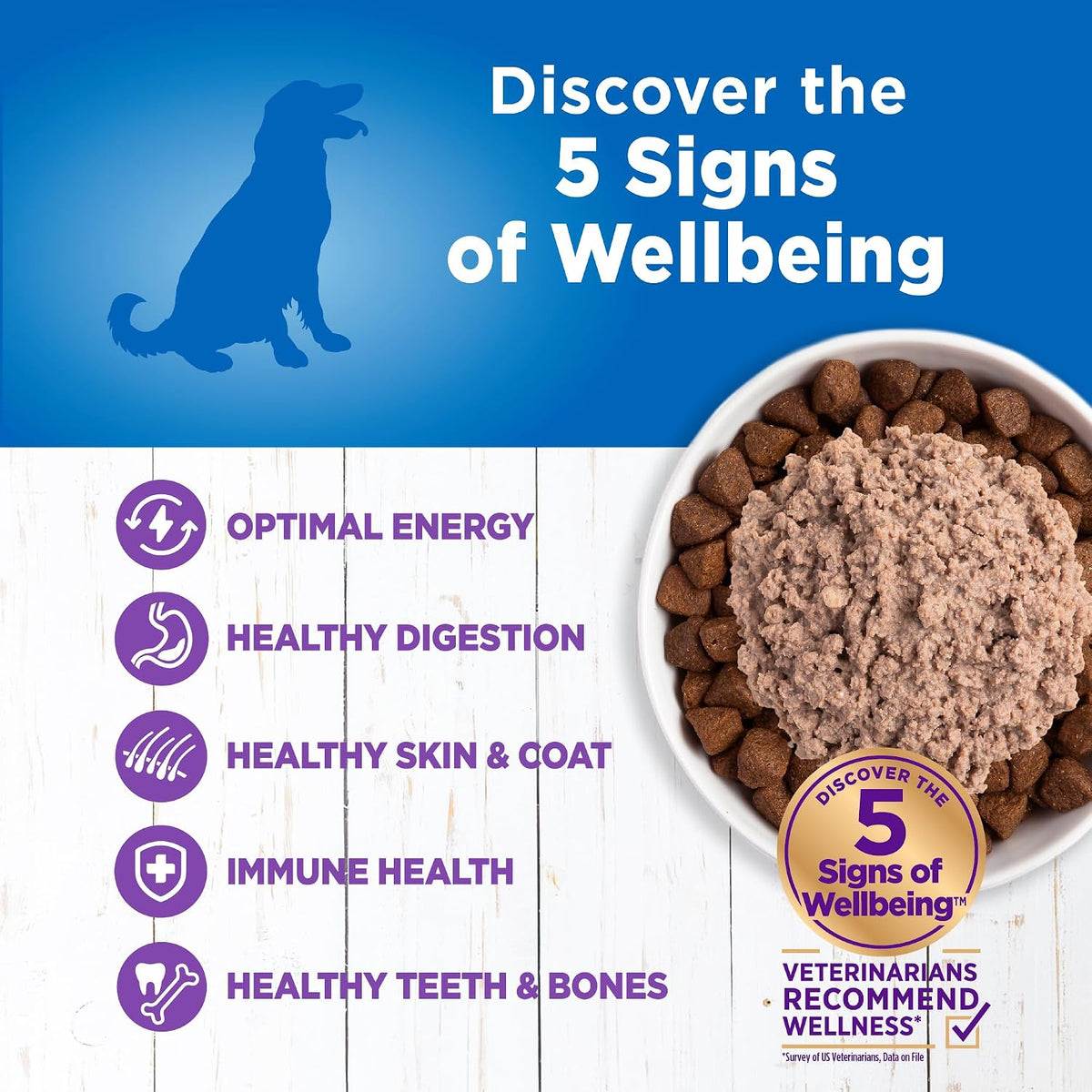 Simple Limited Ingredient Diet Adult Canned Wet Dog Food, Wholesome Grains, Natural, Turkey and Potato Recipe, 12.5
