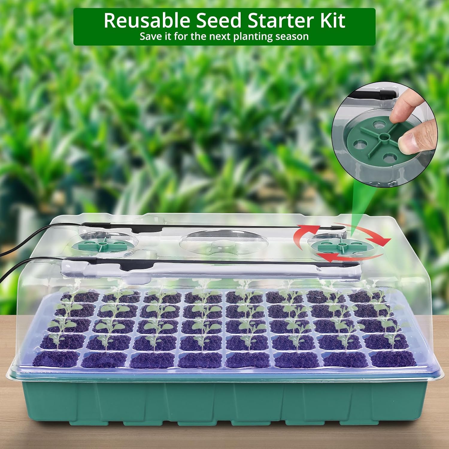 Seed Starter Tray with Grow Light, Intelligent Display Digital Controller, 80 Cells Seed Starter Kit with Humidity