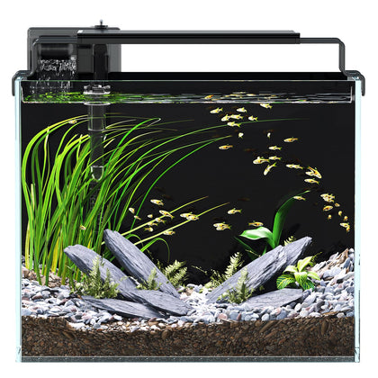 3 Gallon Fish Tank Aquarium Starter Kit with Filter Light Lid Rimless Glass