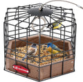 Squirrel Proof Platform Bird Feeder, Metal Mesh Tray