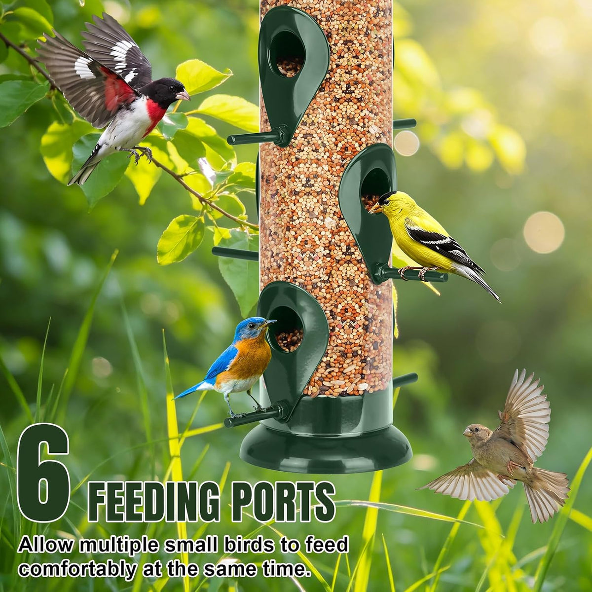 Bird Feeder for Outdoors Hanging, 13" 6 Ports, Clear Tube