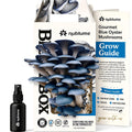 BloomBox Blue Oyster Mushroom Grow Kit – Spray & Grow – Pre-Inoculated Indoor Mushroom Farm – Beginner Friendly –