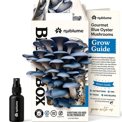 BloomBox Blue Oyster Mushroom Grow Kit – Spray & Grow – Pre-Inoculated Indoor Mushroom Farm – Beginner Friendly –
