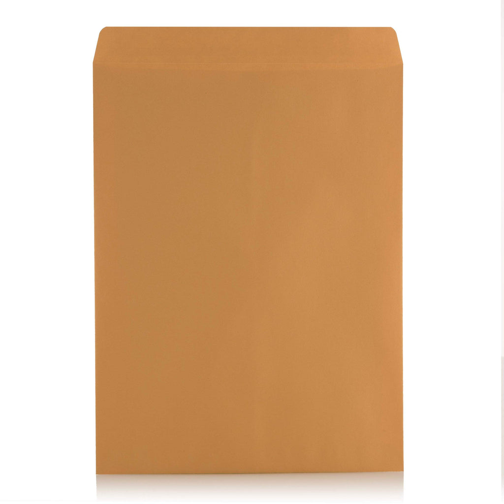 10x13 Kraft Catalog Envelopes, Self Seal, Brown, 300 Count