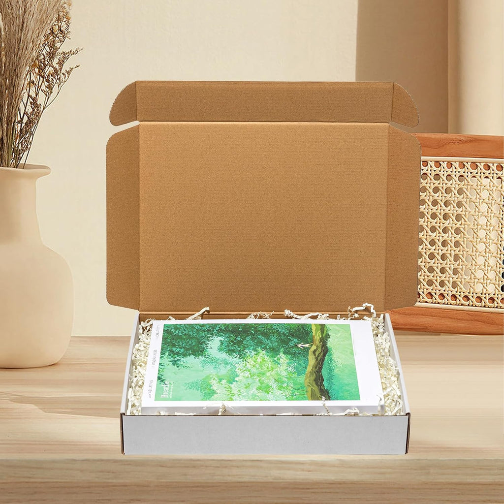 12x9x2 Inches Shipping Boxes 25 Pack Corrugated Cardboard White Box